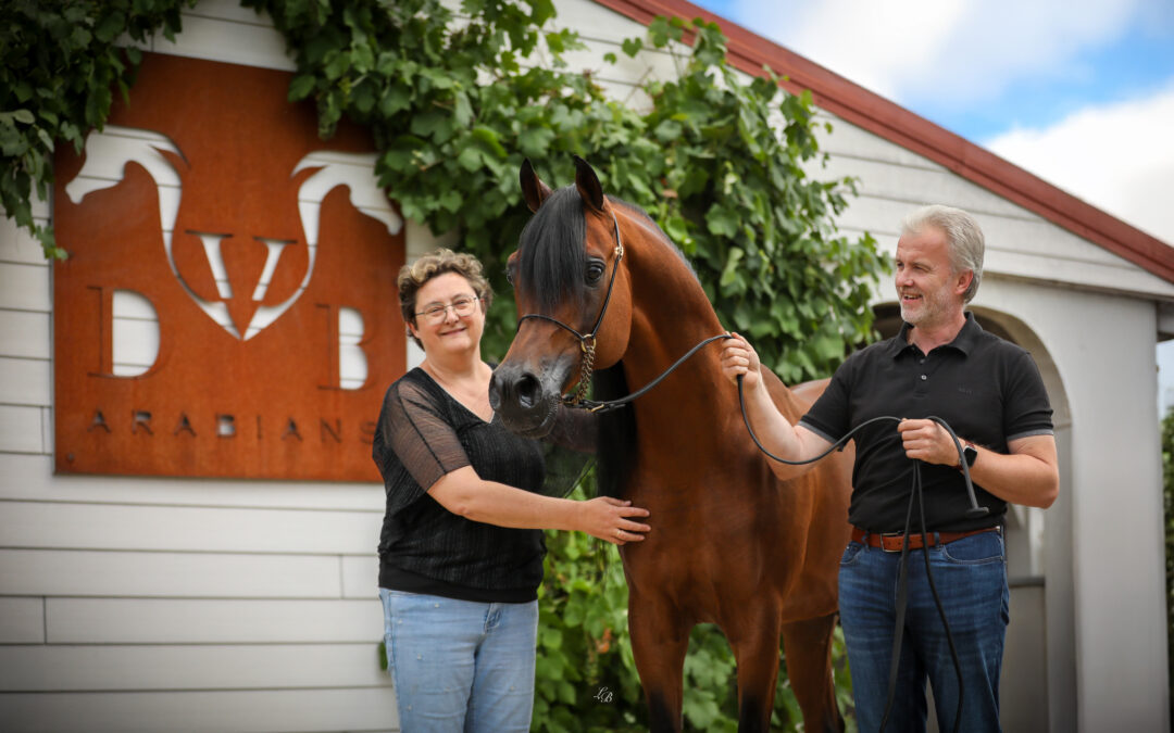 Featured in the Arabian Horse Times Abroad